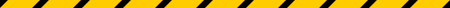 Zebracross 1
